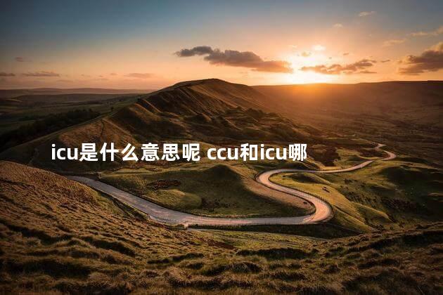 icu是什么意思呢 ccu和icu哪个严重